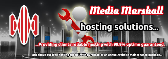 Website Hosting, Website Design, Website Maintenance & SEO